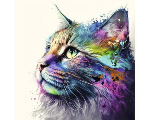 Giclée Leinwandbild Colorfull cat 144 60x60 cm