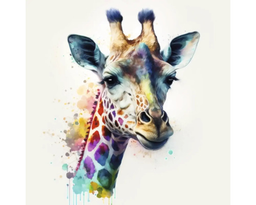Giclée Leinwandbild Colorfull Giraffe 142 60x60 cm