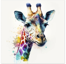 Giclée Leinwandbild Colorfull Giraffe 142 60x80 cm