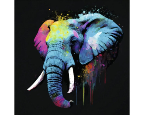 Giclée Leinwandbild Colorfull elephant 137 60x80 cm
