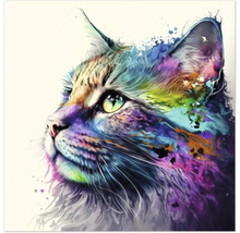 Giclée Leinwandbild Colorfull cat 144 60x80 cm