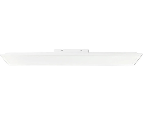 LED Panel 24W 2700 lm 4000 K 1000x250 mm Briston weiß | HORNBACH