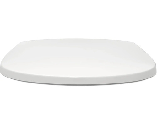 Toilettendeckel aus Kunststoff