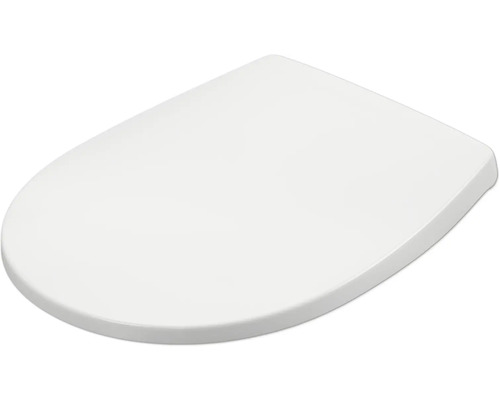 Toilettendeckel