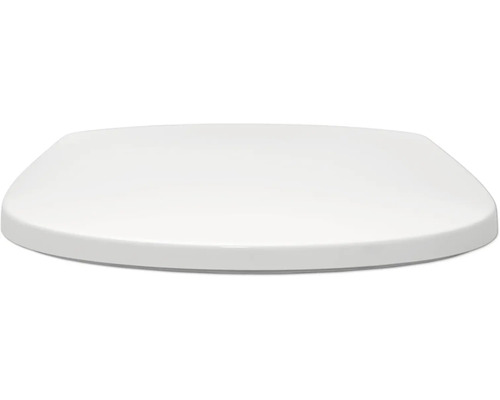 Toilettendeckel aus Kunststoff