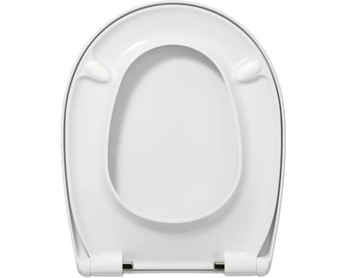 Toilettendeckel aus Kunststoff