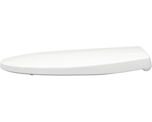 Toilettendeckel aus Kunststoff