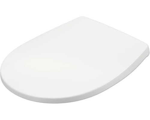 Toilettendeckel aus Kunststoff