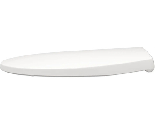 Toilettendeckel aus Kunststoff