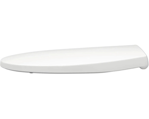 Toilettendeckel