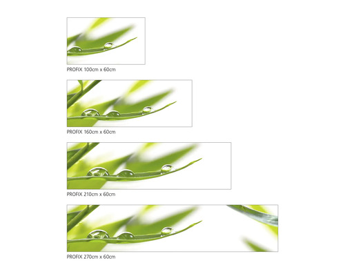Dekorfolie mit Gräsern und Wassertropfen in verschiedenen Größen