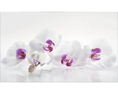 Küchenrückwand mySpotti Profix Orchidee 100 x 60 cm PX-10060-61-HB