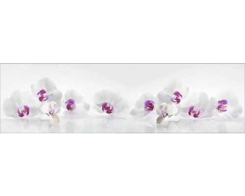 Küchenrückwand mySpotti Profix Orchidee 210 x 60 cm PX-21060-61-HB