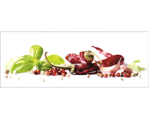 Küchenrückwand mySpotti Profix Herbs and Spice 160 x 60 cm PX-16060-793-HB