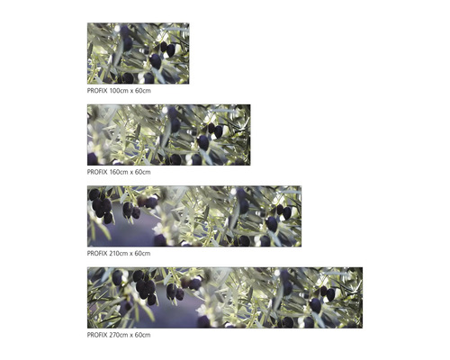 PROFIX Spritzschutz mit Olivenmotiv in verschiedenen Größen