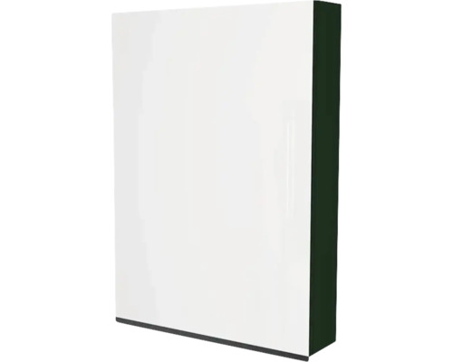 Spiegelschrank Devo Viva 2.0 links BxHxT 60x85x15 cm conifer green supermatt