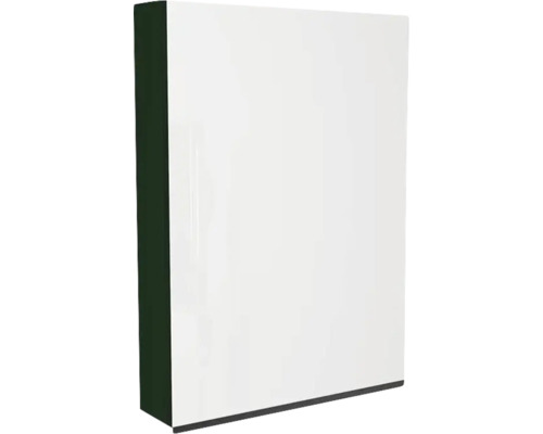 Spiegelschrank Devo Viva 2.0 rechts BxHxT 60x85x15 cm conifer green supermatt