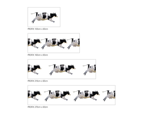 Profix Küchenrückwand mit Kuhmotiv in verschiedenen Größen