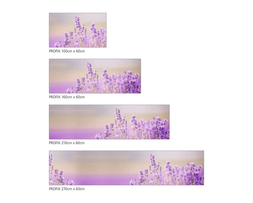 Profix Spritzschutz in verschiedenen Größen mit Lavendel Motiv