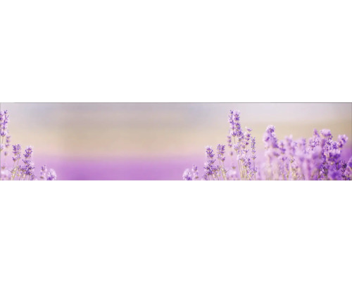 Küchenrückwand mySpotti Profix Lavendelfeld 270 x 60 cm PX-27060-1034-HB Küchenrückwand mySpotti Profix Lavendelfeld 270 x 60 cm PX-27060-1034-HB