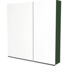Spiegelschrank Devo Viva 2.0 links BxHxT 70x85x15 cm conifer green supermatt