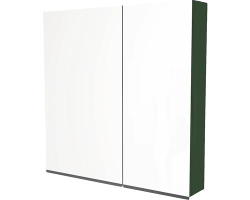 Spiegelschrank Devo Viva 2.0 links BxHxT 70x85x15 cm conifer green supermatt Doppeltüriger Spiegelschrank zur Wandmontage
