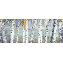Küchenrückwand mySpotti Profix Birkenwald 160 x 60 cm PX-16060-14-HB