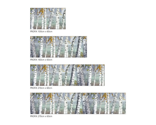 PROFIX Küchenrückwand mit Birkenmotiv in verschiedenen Größen.