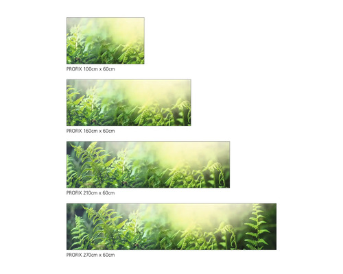 Dekorfolien in verschiedenen Größen mit einem Farnmotiv