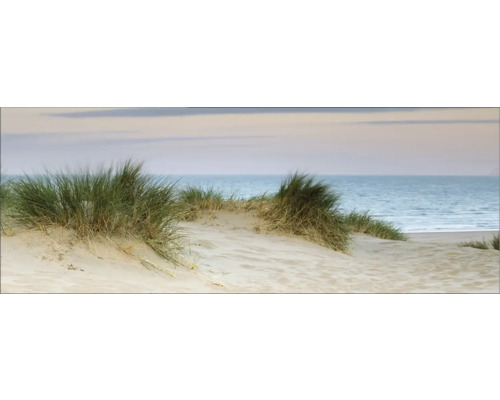 Küchenrückwand mySpotti Profix Dünenpanorama 160 x 60 cm PX-16060-849-HB Küchenrückwand mySpotti Profix Dünenpanorama 160 x 60 cm PX-16060-849-HB