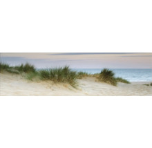 Dünenlandschaft mit Strandhafer und Meer
