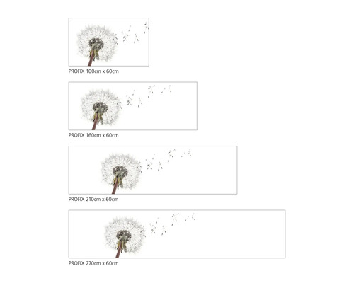 Übersicht verschiedener Größen von Profix Deko Paneelen mit Pusteblumen Motiv.