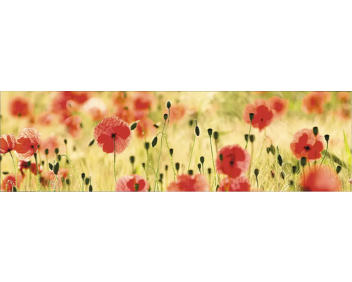 Küchenrückwand mySpotti Profix Mohnet 210 x 60 cm PX-21060-1518-HB Küchenrückwand mySpotti Profix Mohnet 210 x 60 cm PX-21060-1518-HB