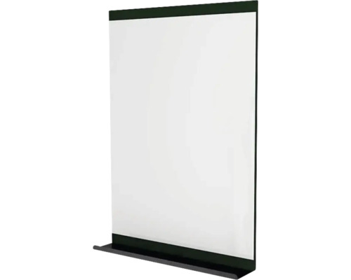 Spiegel mit Ablage Devo Viva 2.0 BxHxS 60x85x12 cm conifer green supermatt/black Leere Flipcharttafel für Präsentationen