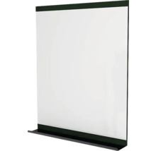 Spiegel mit Ablage Devo Viva 2.0 BxHxS 70x85x12 cm conifer green supermatt/black