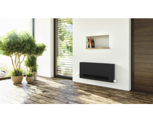 Heller Raum mit modernem Heizkörper, Pflanzen und Holzboden