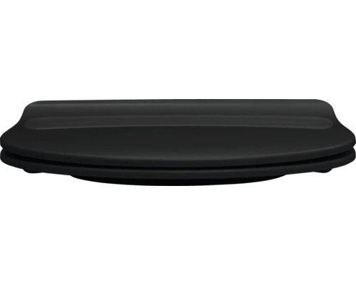 Toilettendeckel aus Kunststoff