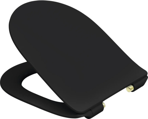 Toilettendeckel aus Duroplast