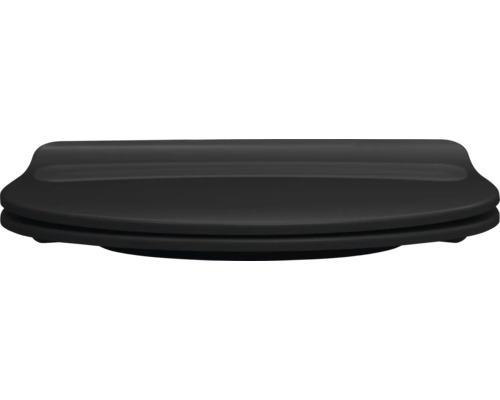 Toilettendeckel aus Kunststoff