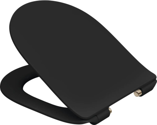 Schwarzer Toilettendeckel