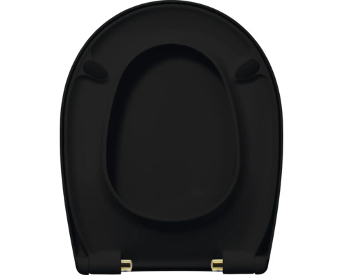 Toilettendeckel aus Kunststoff