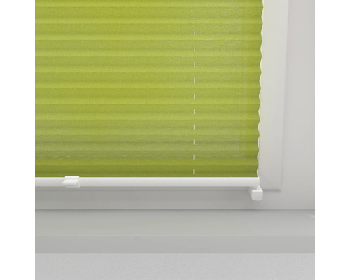 Grüne Plissee Jalousie am Fenster
