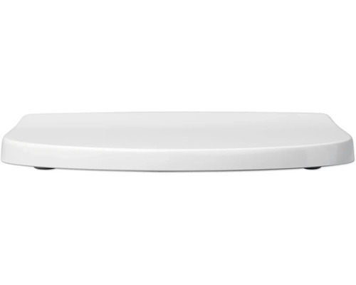 Toilettendeckel aus Kunststoff