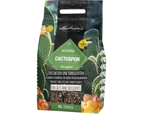 Cactuspon Lechuza 6l neutral