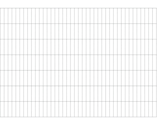 Doppelstabmatte ALBERTS Typ 6/5/6 200 x 140 cm feuerverzinkt