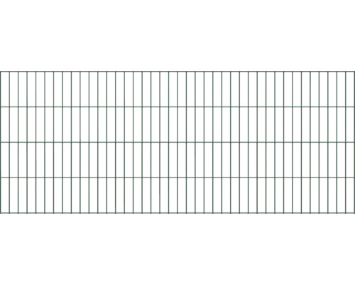 Doppelstabmatte ALBERTS Typ 6/5/6 200 x 80 cm grün Zaun aus Drahtgitter