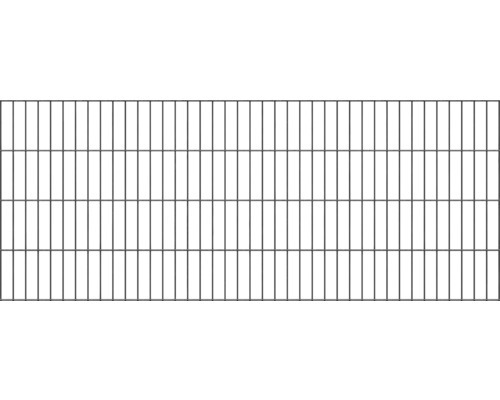 Doppelstabmatte ALBERTS Typ 6/5/6 200 x 80 cm anthrazit Drahtgittermatte