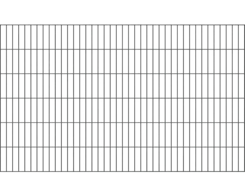 Doppelstabmatte ALBERTS 6/5/6 200 x 120 cm anthrazit