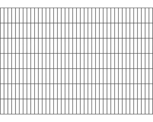 Doppelstabmatte ALBERTS Typ 6/5/6 200 x 140 cm anthrazit