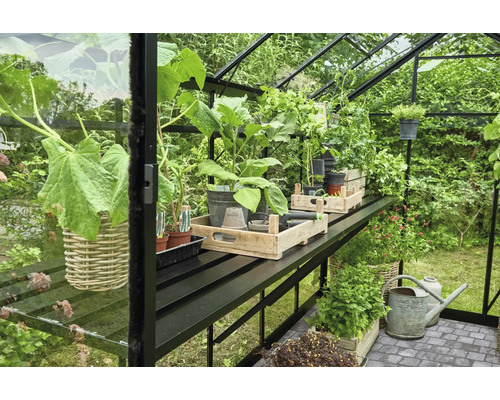Aluminiumtisch Halls Integrierter Tisch 311 x 64 cm schwarz Gewächshaus mit Pflanzen und Gartenzubehör auf Regalen